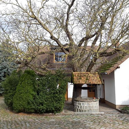 Schonfeld  Ein Bett Im Kornfeld - Haus Weitblick - Mit Innenpool מראה חיצוני תמונה